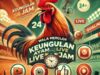 Wala Meron: Keunggulan Sabung Ayam Live 24 Jam